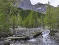 Flooded Hiking Trail in Yoho National Park