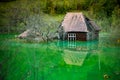 Flooded house isolated in the lake , dead forest after mining poisoning waste lake
