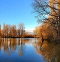 Flooded lake and reflected trees