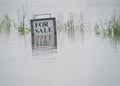 Flooded Land For Sale