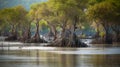 flooded mangrove trees generative ai