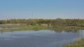 Flooded marsh in Gentbrugse Meersen nature reserve, Belgium Royalty Free Stock Photo