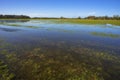 Flooded meadow linking Houghton and Hemingford Abbots Royalty Free Stock Photo