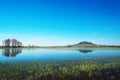 Flooded meadow at Lake Balaton,Hungary Royalty Free Stock Photo