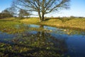 Flooded meadow linking Houghton and Hemingford Abbots Royalty Free Stock Photo