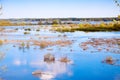 Flooded meadow on spring day Royalty Free Stock Photo