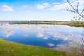 Flooded meadow on spring Royalty Free Stock Photo