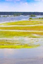 Flooded meadow in the spring Royalty Free Stock Photo