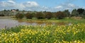 Flooded meadows after heavy rainfalls