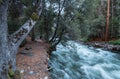 The flooded Merced River in Spring Royalty Free Stock Photo