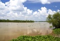 Flooded muddy river