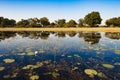 Flooded Okavango Delta Royalty Free Stock Photo