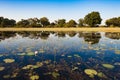 Flooded Okavango Delta