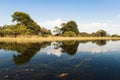 Flooded Okavango Delta Royalty Free Stock Photo