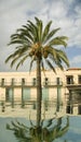 Flooded old city with palm tree and buildings reflecting in the water. Climate change