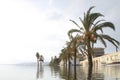 Flooded old city with palm trees and buildings reflecting in the water. Climate change