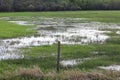 A flooded out green pasture with water everywhere