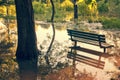 Flooded park Royalty Free Stock Photo
