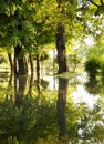 Flooded park