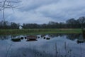 Flooded pasture against a cloudy sky in Munsterland, Germany Royalty Free Stock Photo