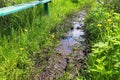 Flooded path in the garden after a heavy summer rain.