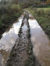 Flooded path with puddles