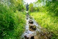 Flooded path in the summer. The concept of daily obstacles