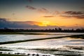 Flooded plain near the river the IJssel and submerged land Royalty Free Stock Photo