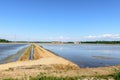 Flooded rice fields, Lomellina (Italy) Royalty Free Stock Photo