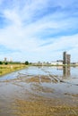 Flooded rice fields, Lomellina (Italy) Royalty Free Stock Photo