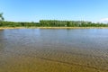 Flooded rice fields, Lomellina (Italy) Royalty Free Stock Photo