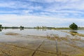 Flooded rice fields, Lomellina (Italy) Royalty Free Stock Photo