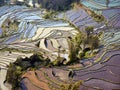 Flooded rice fields in South China