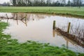 Flooded river bank caused by climate change.