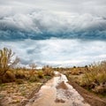 Flooded road in prairie and dramatic sky Royalty Free Stock Photo