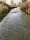 Flooded rural lane in winter, Somerset, UK