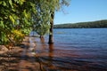 Flooded Shoreline at Afton State Park