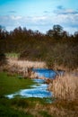 Flooded stream