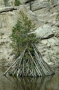 Flooded Tee Pee Of Branches In A Burn Pile