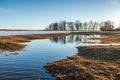 Flooded trees and frozen water in the floodplain of the river at the thaws. Royalty Free Stock Photo