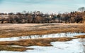Flooded trees and frozen water in the floodplain of the river at the thaws. Royalty Free Stock Photo