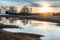 Flooded trees and frozen water in the floodplain of the river at the thaws. Royalty Free Stock Photo