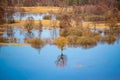 Flooded trees during high water at spring time, Snov river, Ukraine