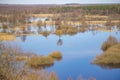 Flooded trees during high water at spring time, Snov river, Ukraine