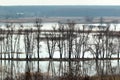 Flooded trees during high water in spring time, Ukraine.