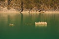 Flooded Village in Italian Lake