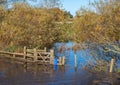 Flooded Wooden Gate in field Royalty Free Stock Photo