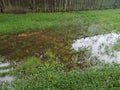 Flooded yard or lawn with puddle and water and fence