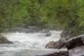 Flooding Creek at Center