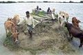 Flooding in the delta Bangladesh, climate change Royalty Free Stock Photo